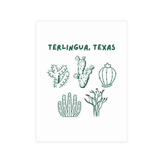 Terlingua Cactus Postcard Bundles (envelopes not included)